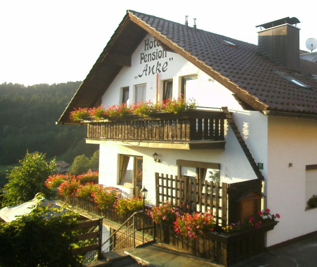 Hotel Pension Anke Bodenmais Exterior photo